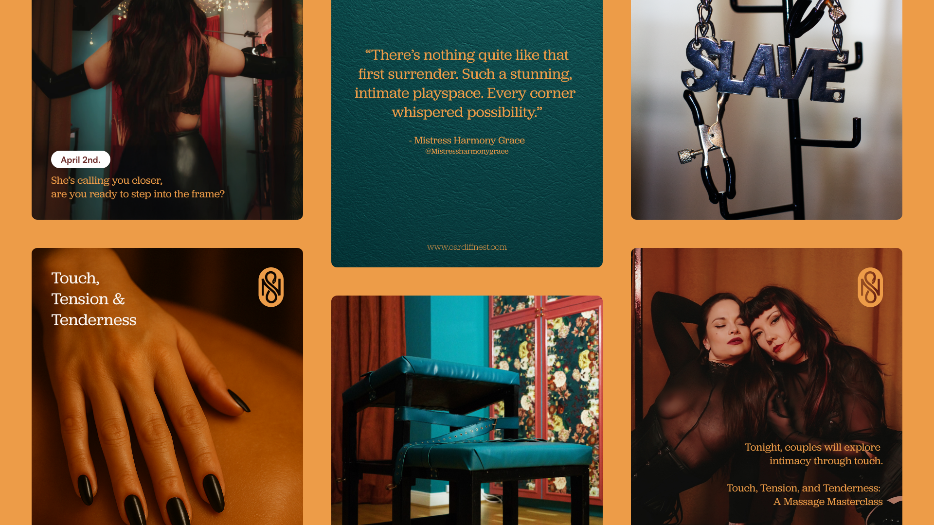 The Nest - branding for adult venues